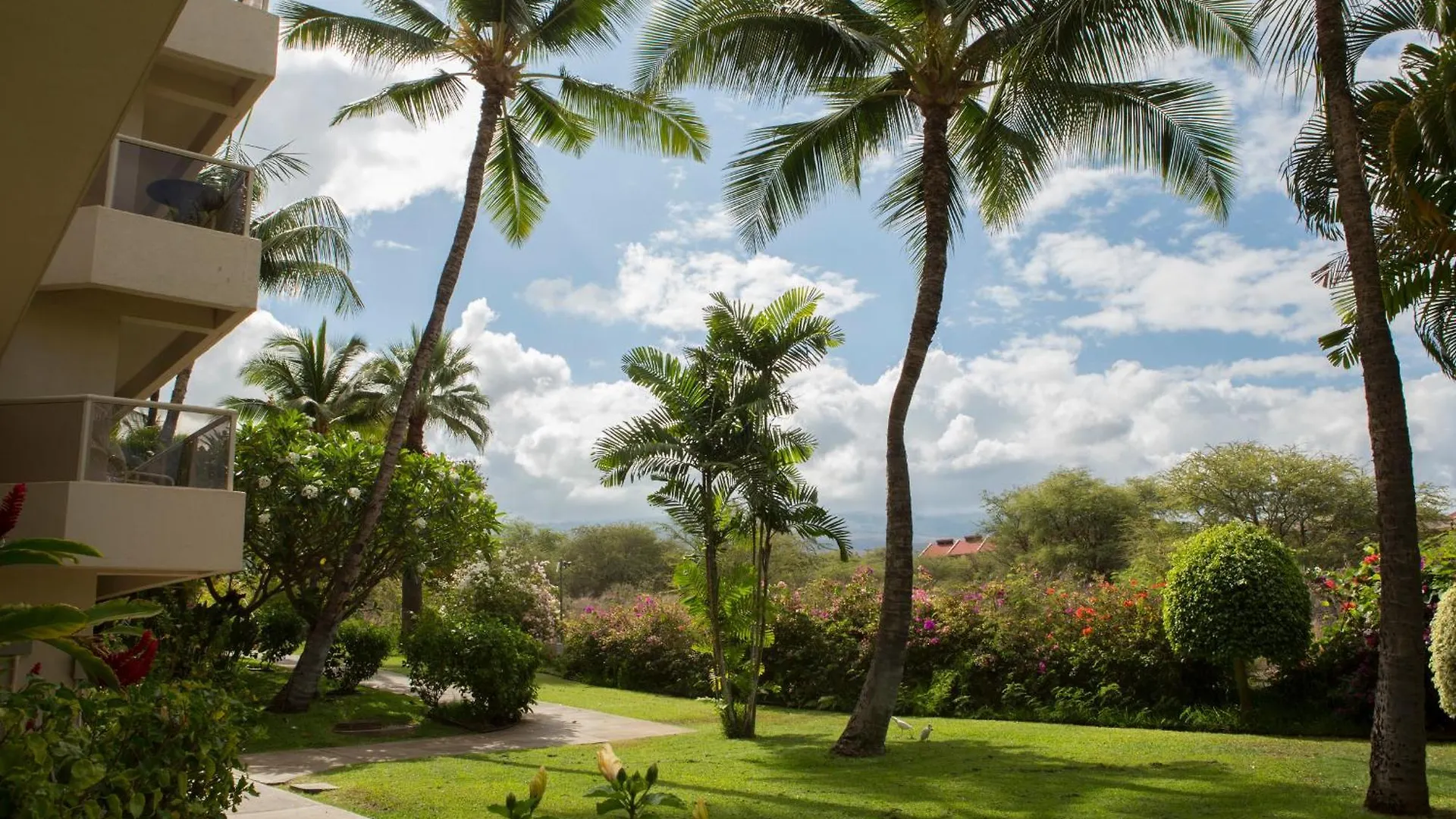 Maui Banyan- Your Home Away From Home On Maui! Wailea  0*, Wailea (Maui)