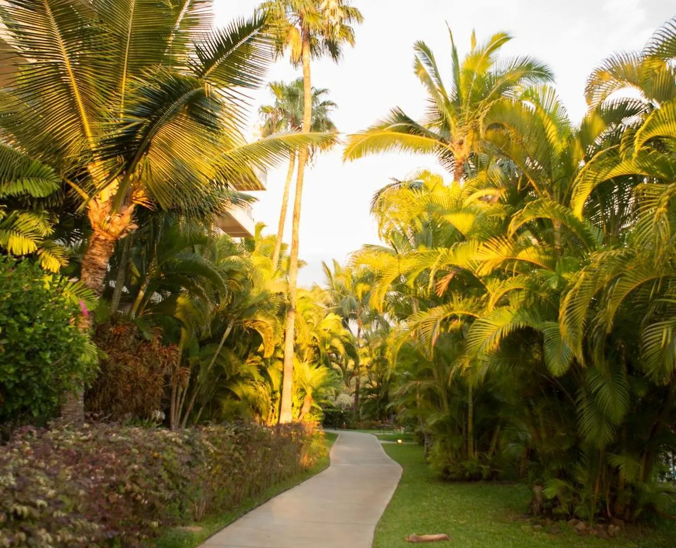 Maui Banyan- Your Home Away From Home On Maui! Wailea  0*, Wailea (Maui)
